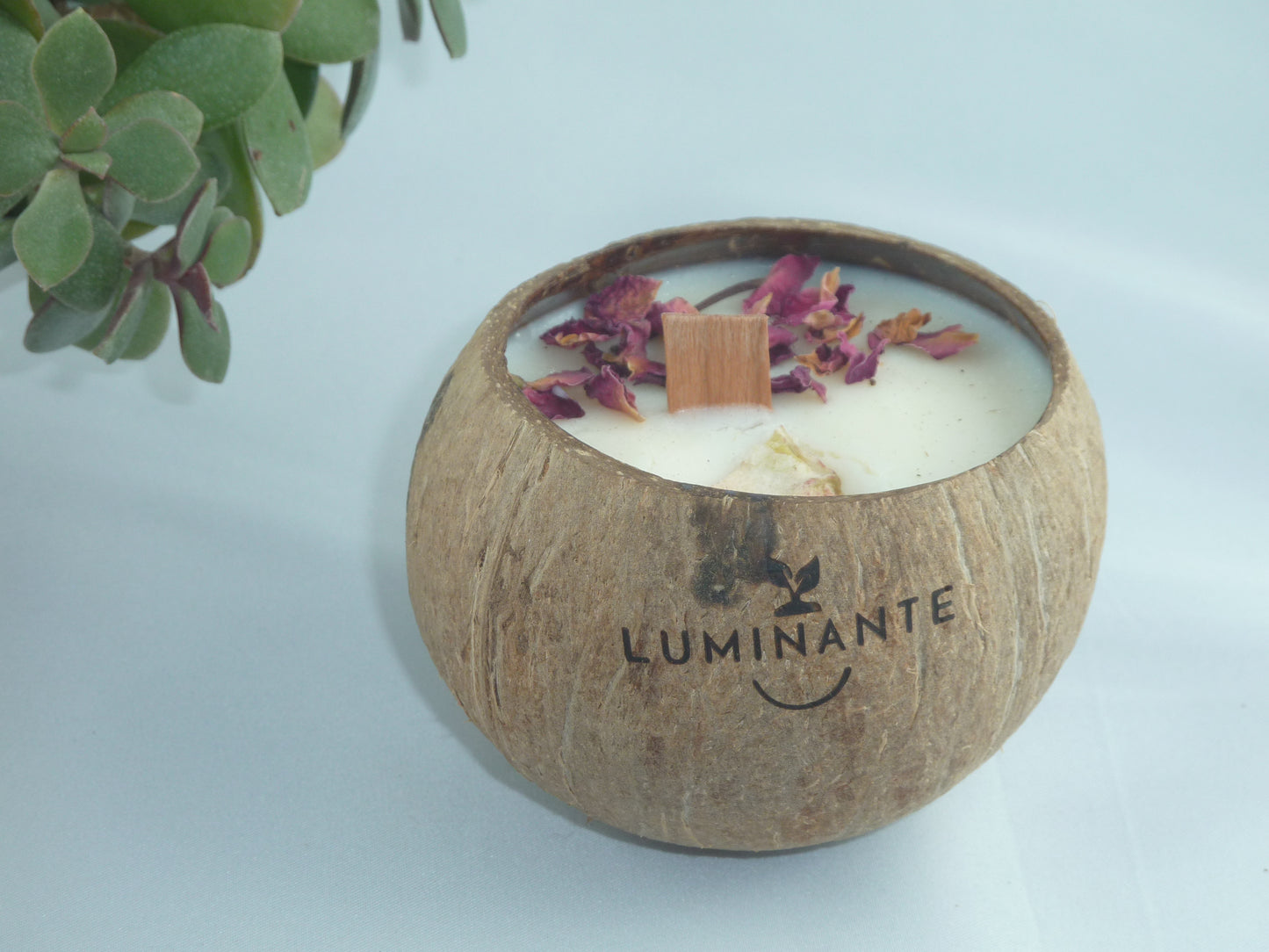 La Bougie qui devient plante_Pomme d'Amour