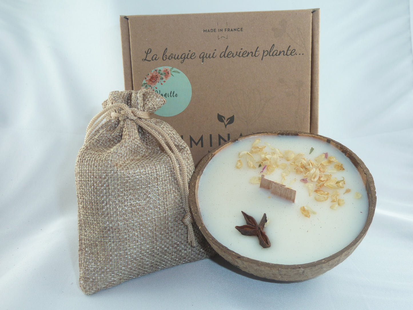 La bougie qui devient plante_Vanille